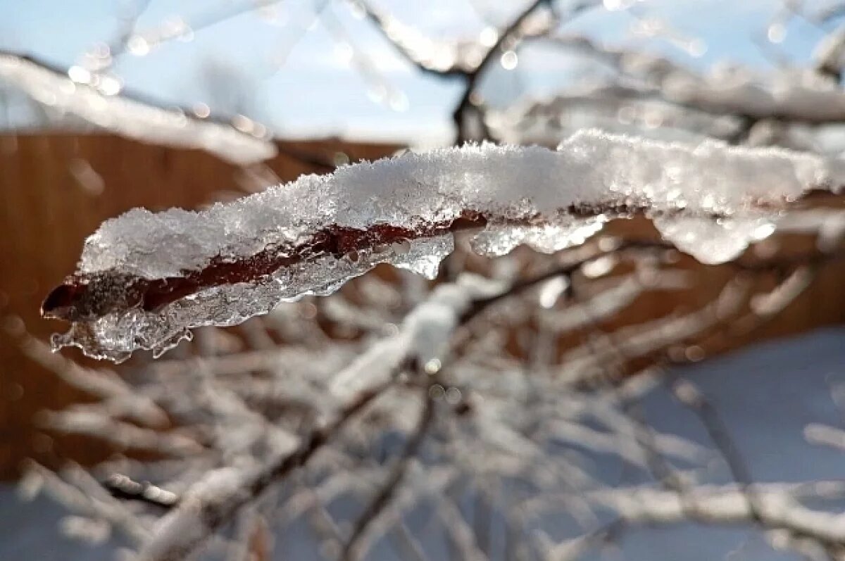    Синоптик Ильин: в этом году весна будет затяжной