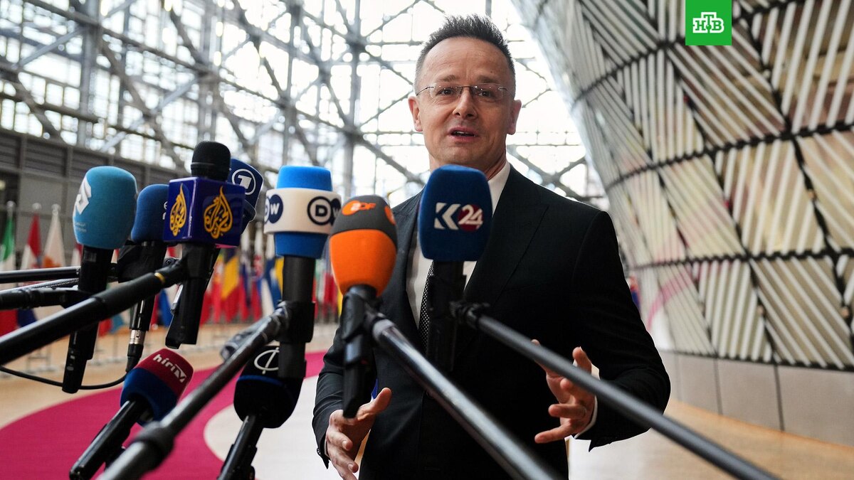    Фото: Associated Press © 2026, Virginia Mayo