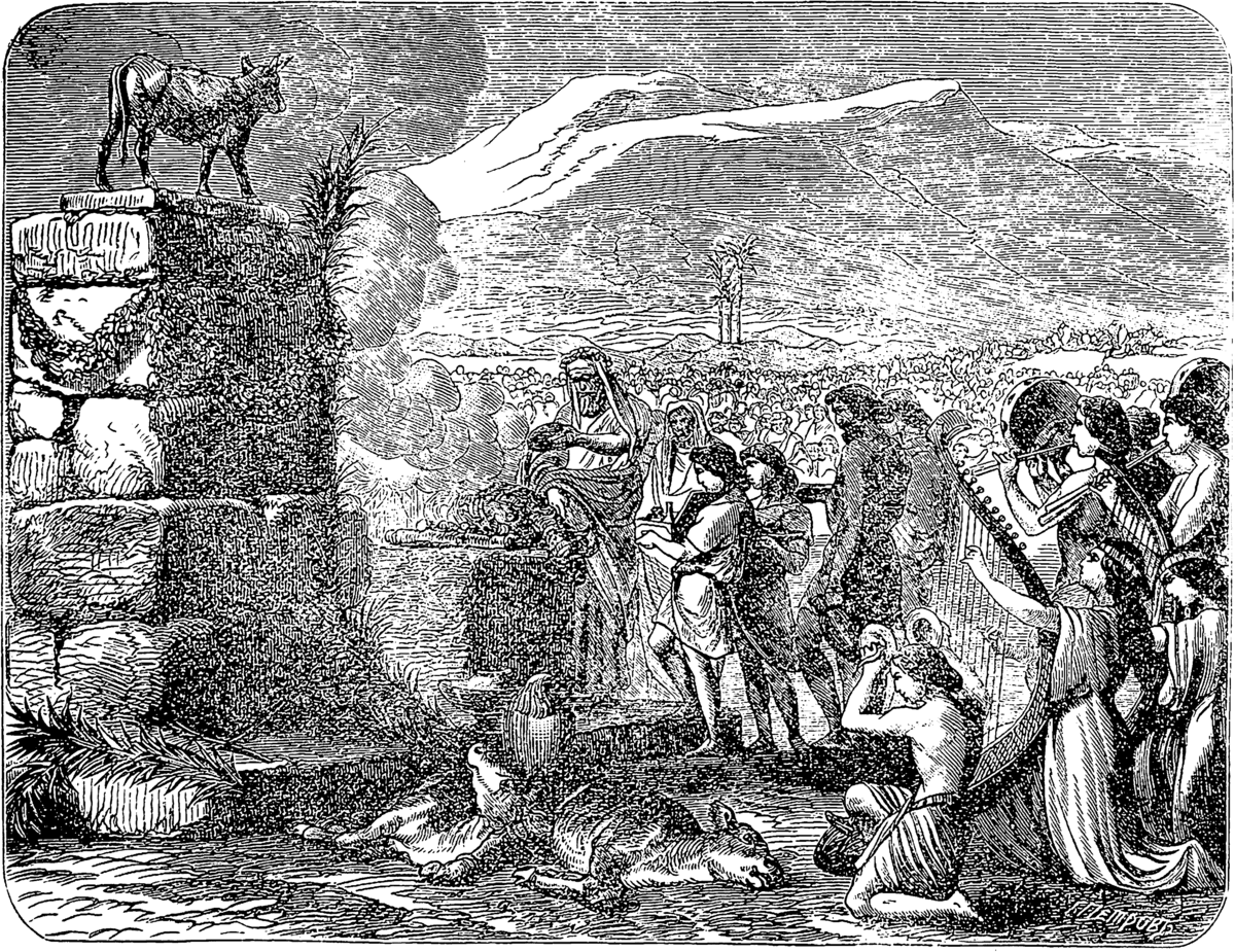 Из интернета