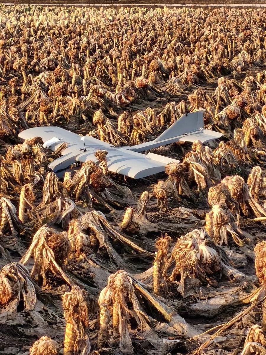    Фото: Администрация Алешкинского округа