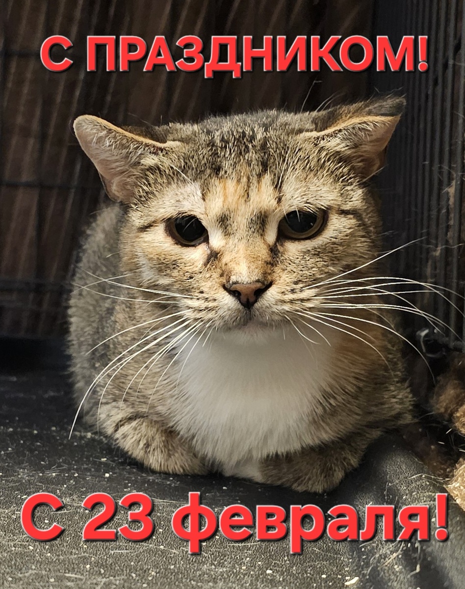 Фото автора. С праздником!