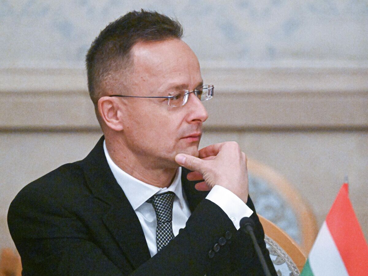    Министр иностранных дел Венгрии Петер Сийярто на 16-ом заседании Российско-Венгерской межправительственной комиссии по экономическому сотрудничеству | © РИА Новости / Кирилл Каллиников