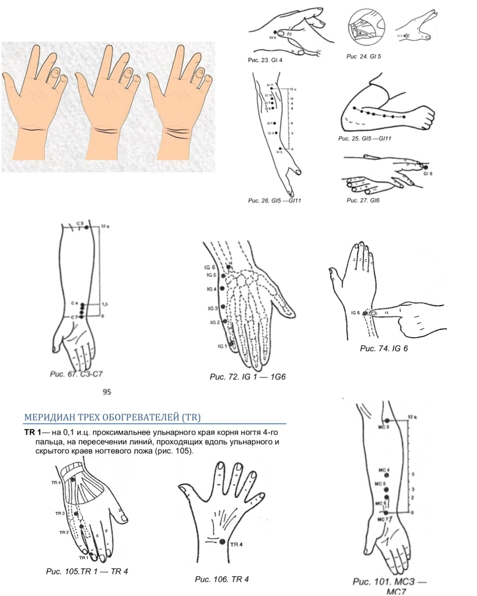 Линии на запястье и вырезки из атласа акупунктурных точек