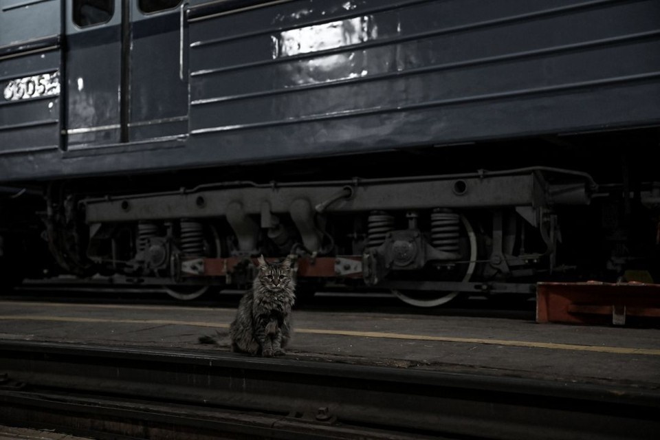    Несколько поездов из Крыма задерживались по дороге в Ростов 23 февраля. Иван МАКЕЕВ