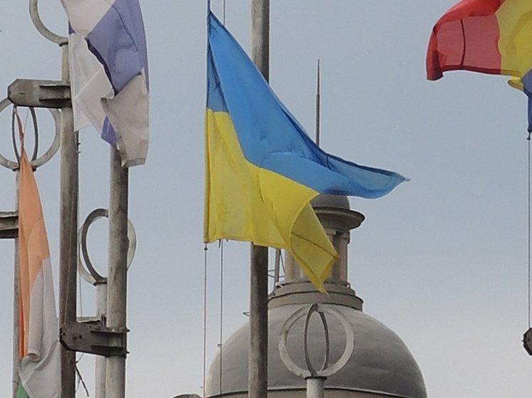   Наталья Мущинкина