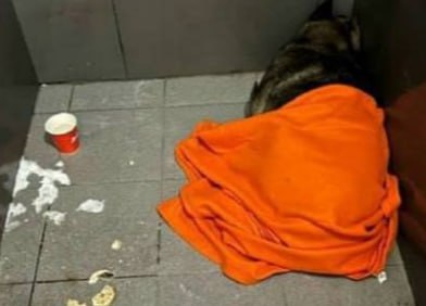 Фото: Prt Scr vk.com / ЁЖ - О БЛОГЕРАХ И СЕЛЕБАХ