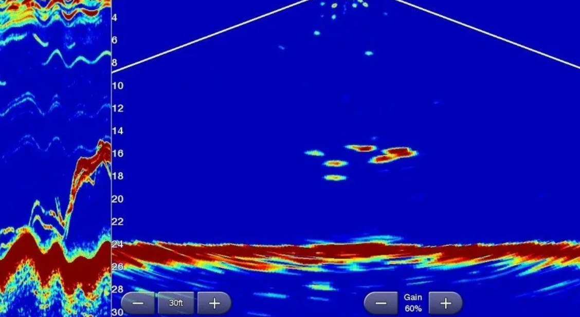 Вот так он показывает