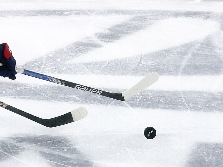     Стороны договорились продолжить контакты по этим направлениям. Фото: МК в Питере/Дарья Иванова