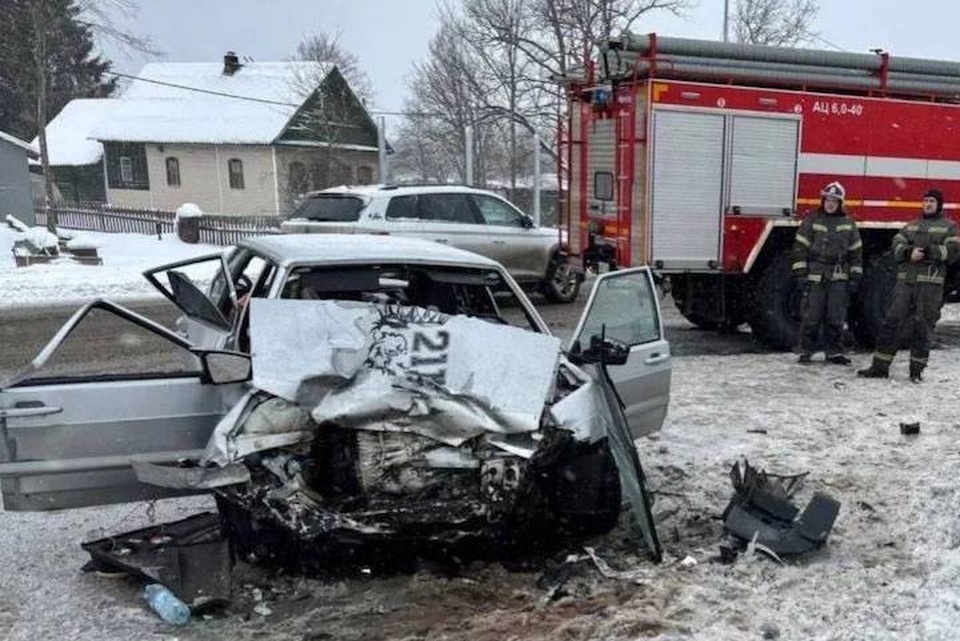    Один человек погиб и еще двое пострадали. Фото: Леноблспас