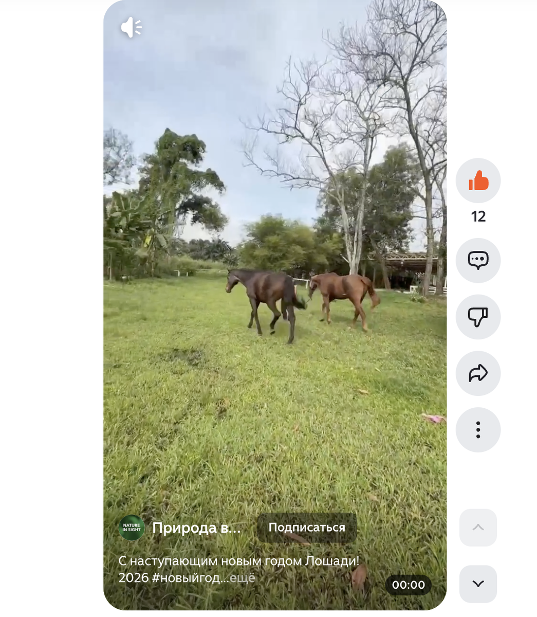 После загрузки ролика и открытия его из канала (не в студии), видна кнопка "Подписаться"