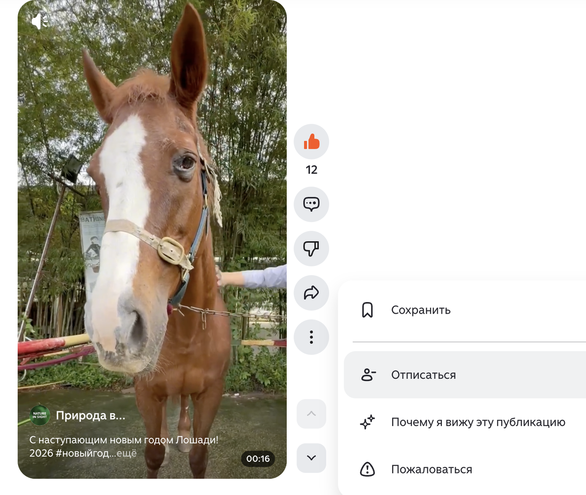 А если захотите отписаться по какой-то причине, то по трем точкам из видео или ролика - это легко!