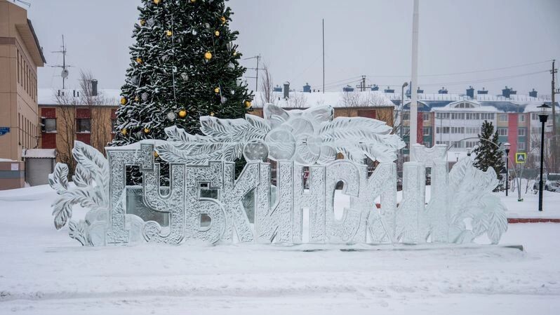    Фото: Юрий Здебский / «Ямал-Медиа»