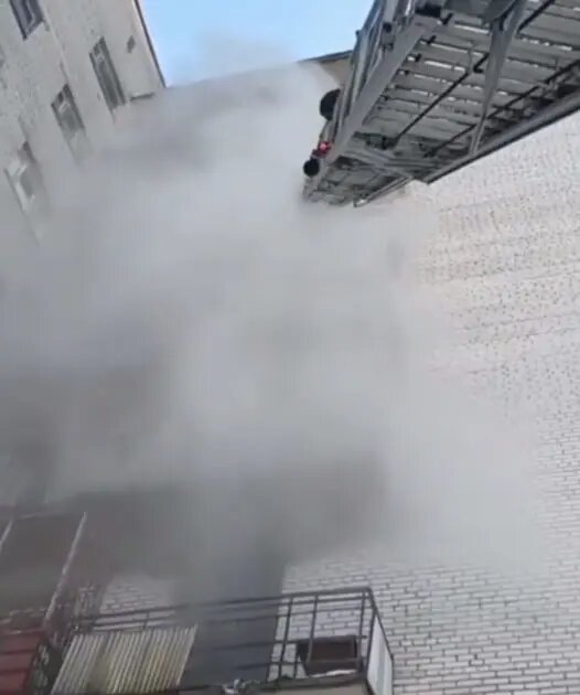    Фото: скриншот из видео пресс-службы ГУ МЧС России по Ленобласти.