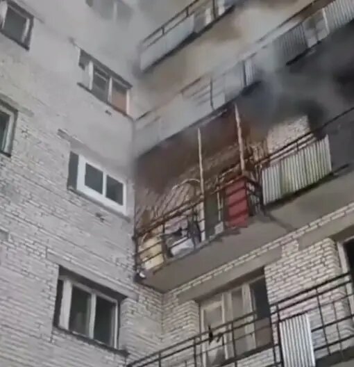    Фото: скриншот из видео пресс-службы ГУ МЧС России по Ленобласти.