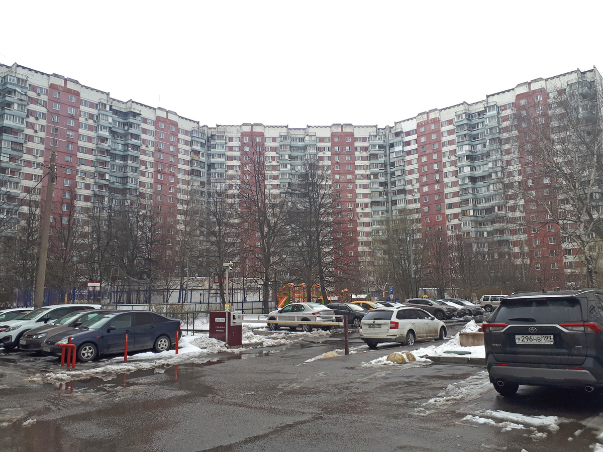 Весна в Новопеределкино, наши дни.