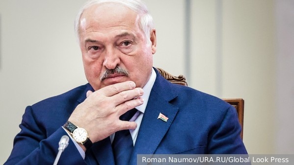     Фото: Roman Naumov/URA.RU/Global Look Press   
 Текст: Вера Басилая