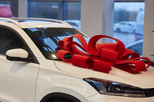 Shutterstock/FOTODOM  