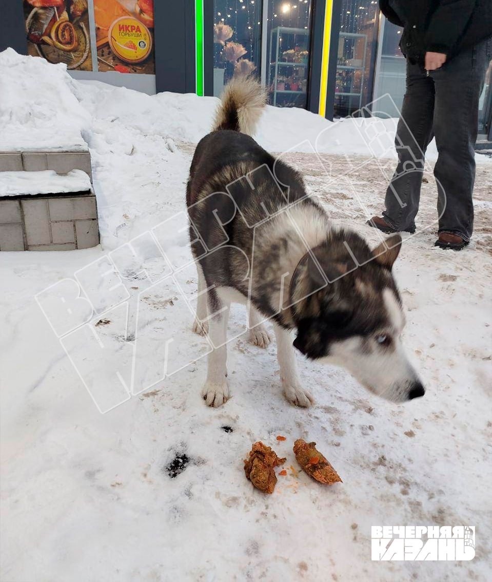    источник «Вечерней Казани»