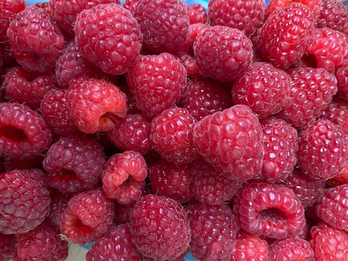     Фото: Бриф24