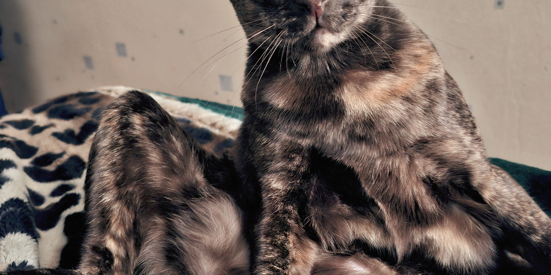 Естественно, я ору