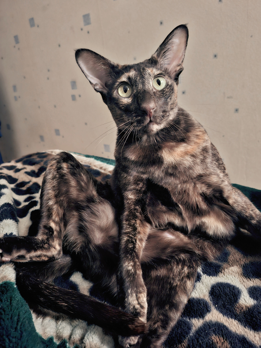 В смысле, я - злоумышленник?