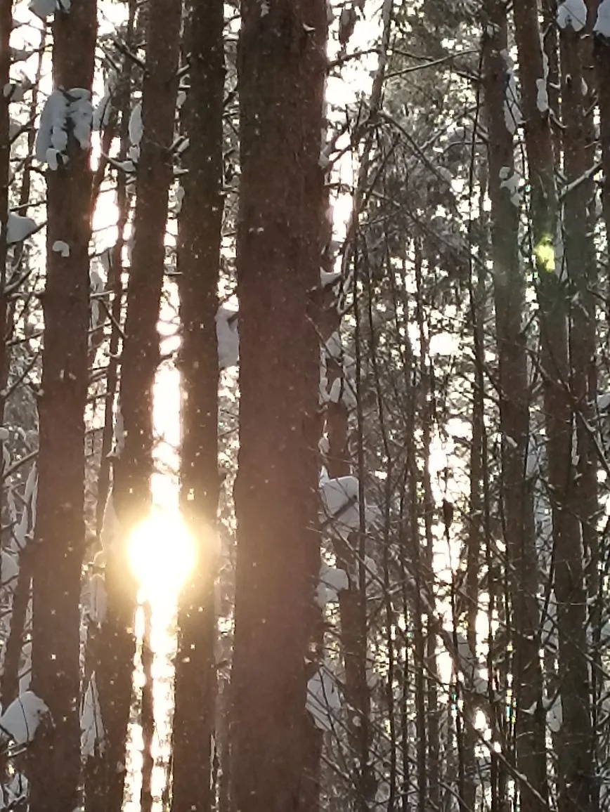 Фото автора статьи.