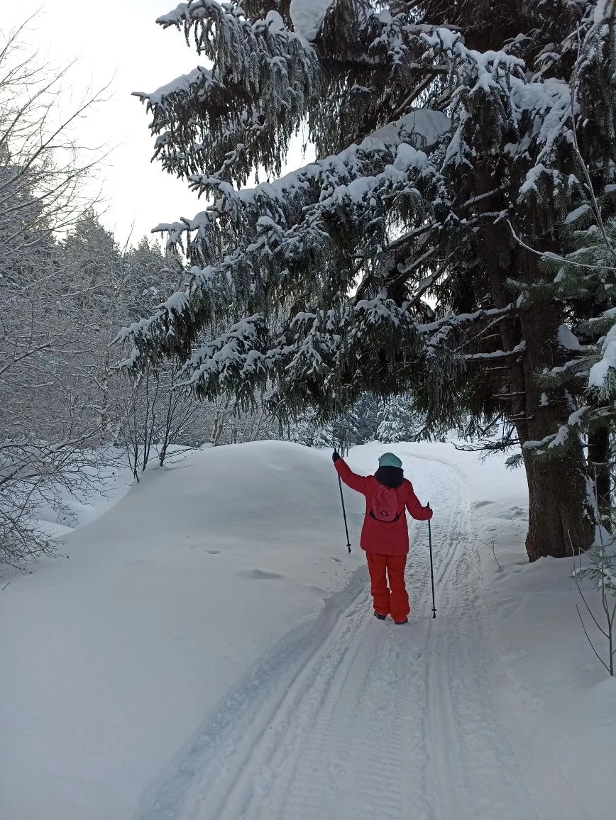 Фото автора статьи.