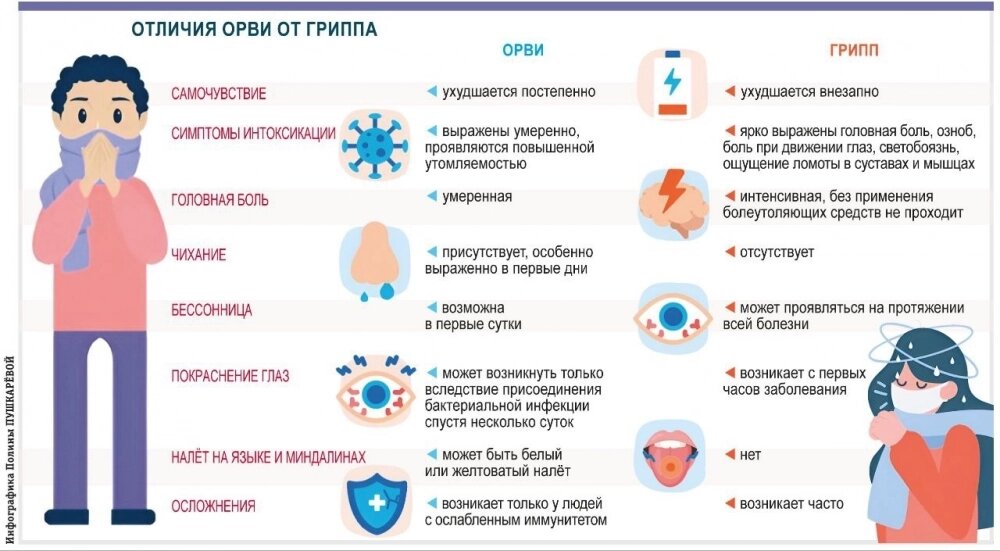    Фото: АиФ-Юг/ Полина Пушкарева