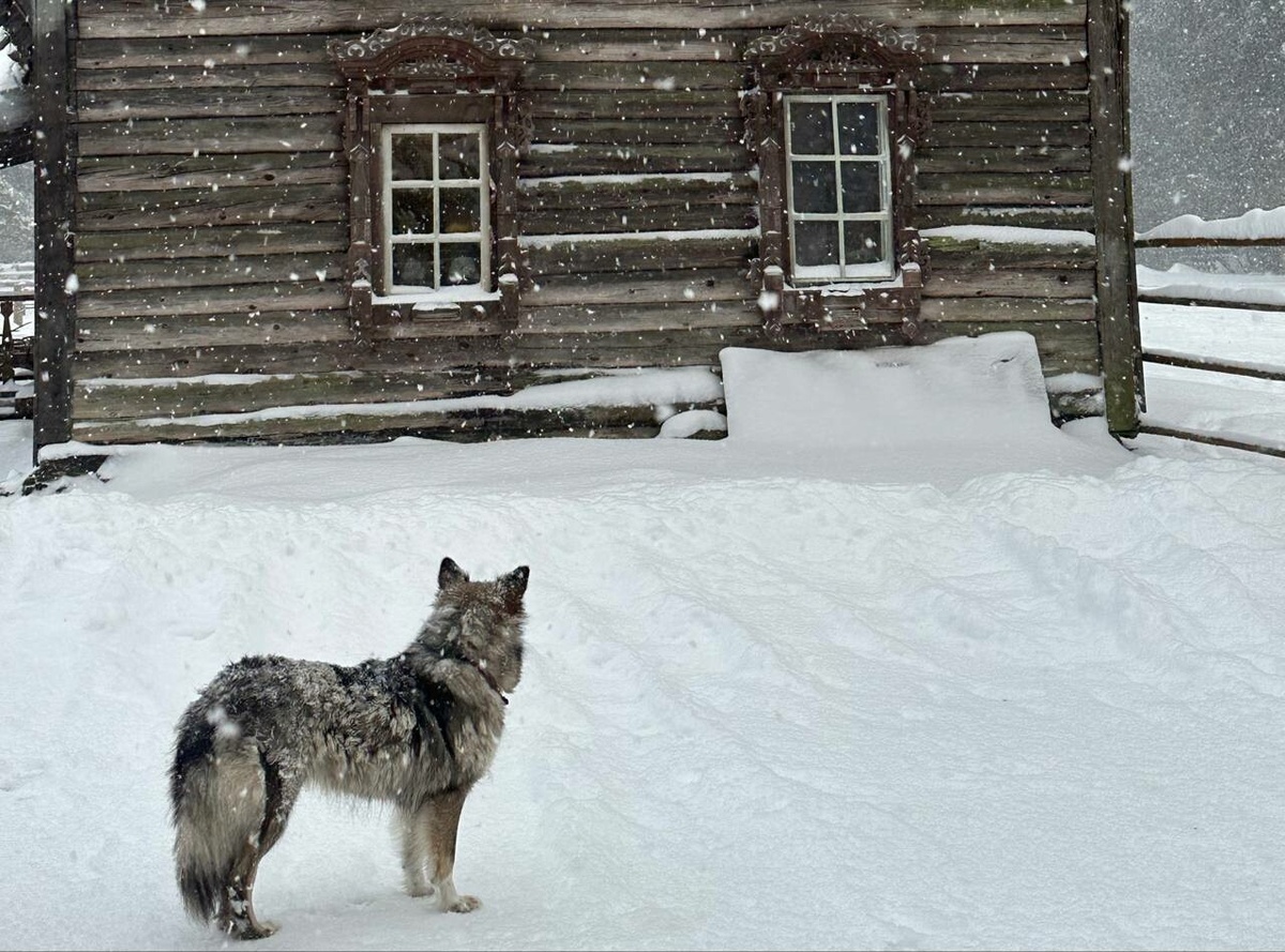     Фото: "Бриф24"