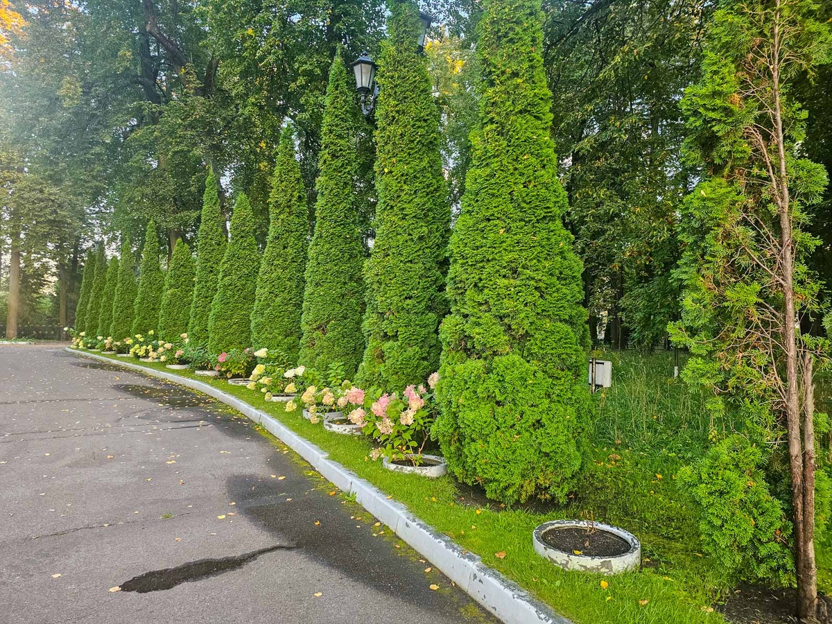 Москва. Строгино. Усадьба Троице-Лыково