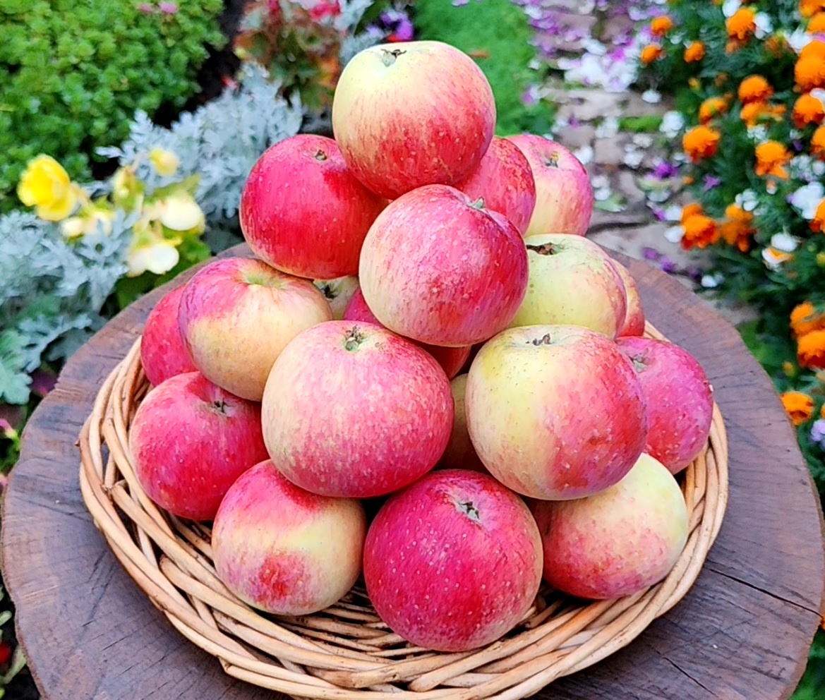 Абориген. Фото Витлаий Брыкин