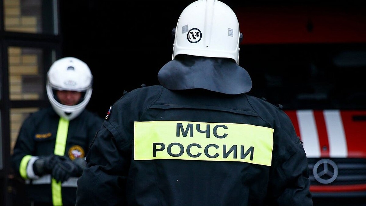    Фото: телеканал «Краснодар»