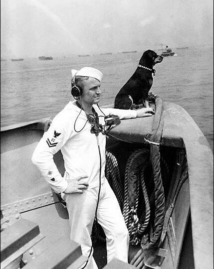 Как корабль береговой охраны защищал конвои в океане, и его четвероногий унтер-офицер Синдбад