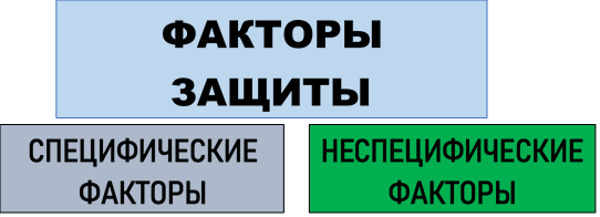 Факторы защиты: специфические и неспецифические