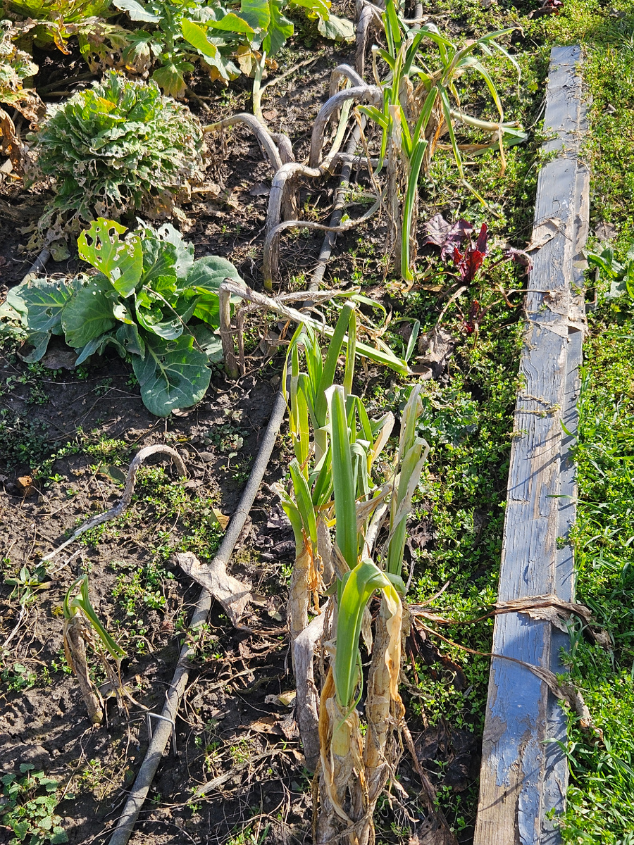 Вот тут видно упавший
