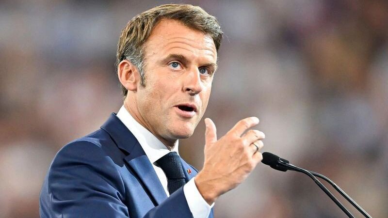    Фото: Victor Velter/Shutterstock/Fotodom