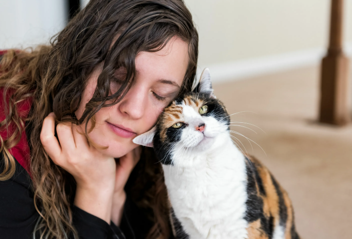 Почему кошки любят одних людей и игнорируют других, как это исправить?