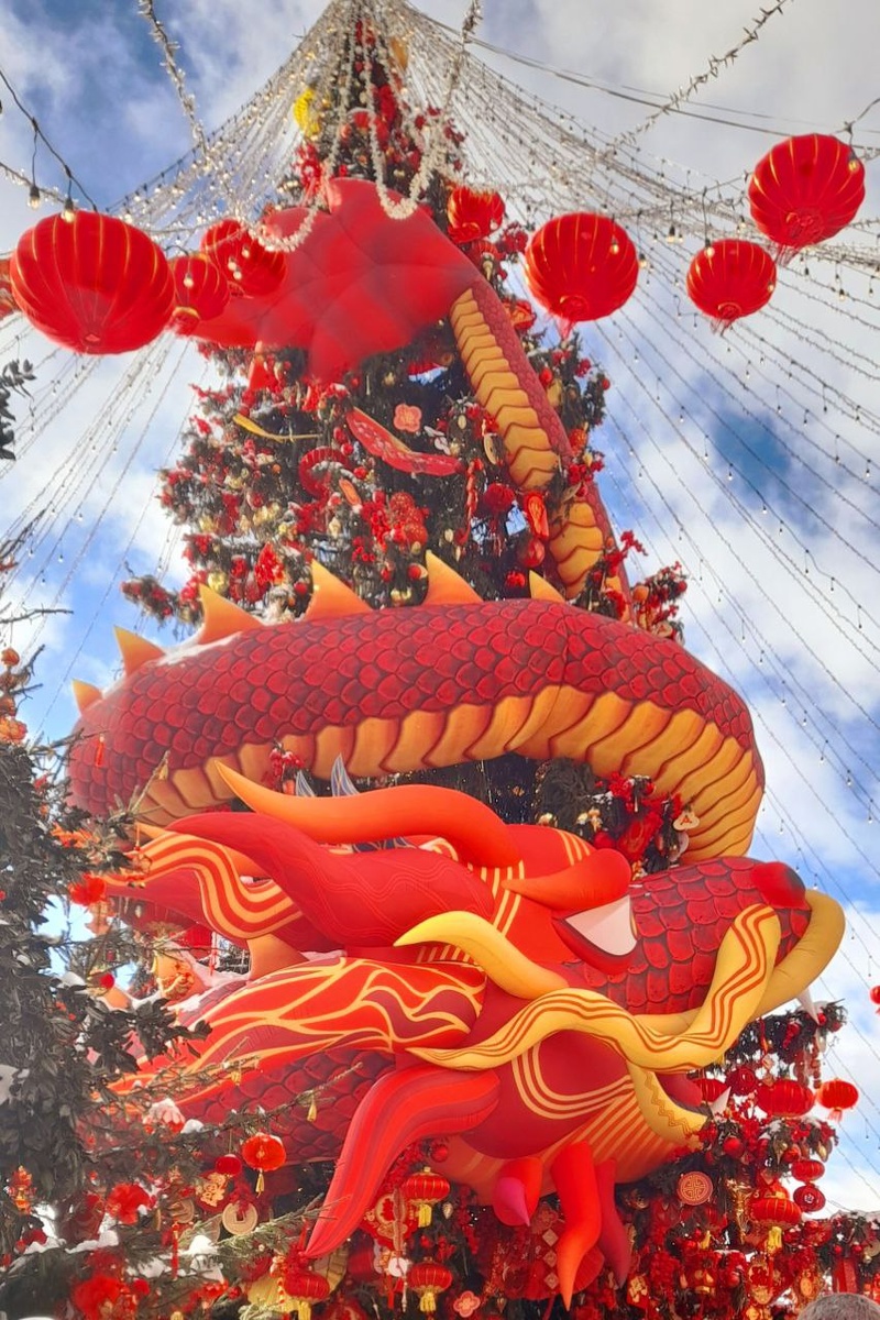 Ёлка с драконом 