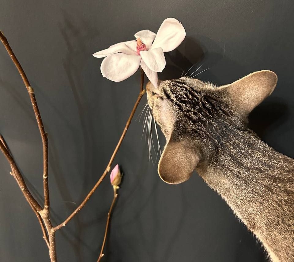 Петька любит нюхать цветы