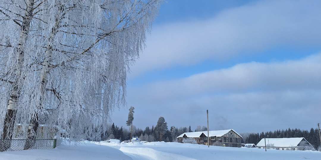 Фотообзор необыкновенного утра. Каждый кристаллик, как маленькое чудо. Ловлю момент и делюсь этой хрупкой красотой