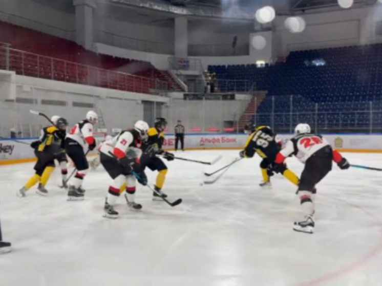     Источник: Федерация хоккея Тамбовской области