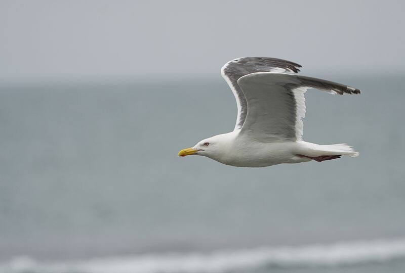     / Источник: © ИЗВЕСТИЯ/Павел Волков