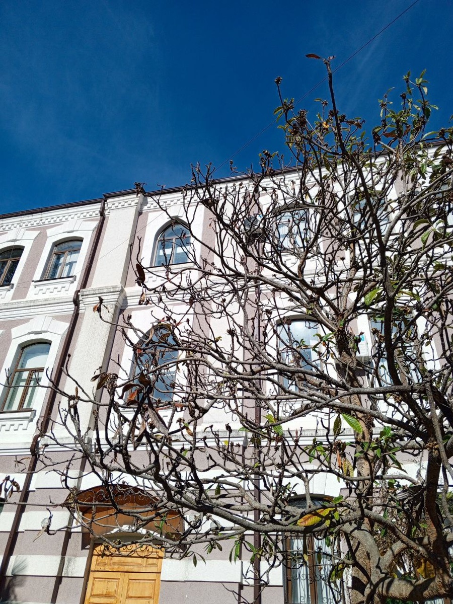 Государственный музей истории Абхазии