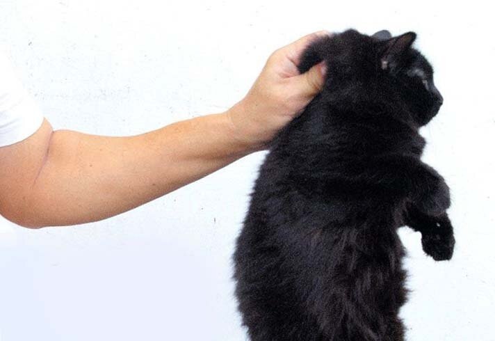 Фотография из интернета