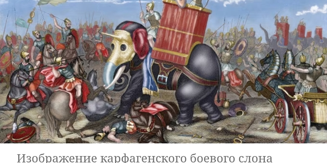 Кость из-под Кордовы: испанские археологи нашли первого слона Ганнибала, пережившего Альпы