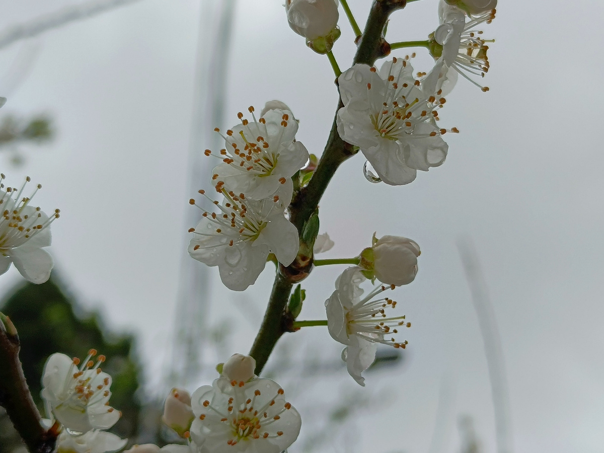 Адлер, февраль 2026 года