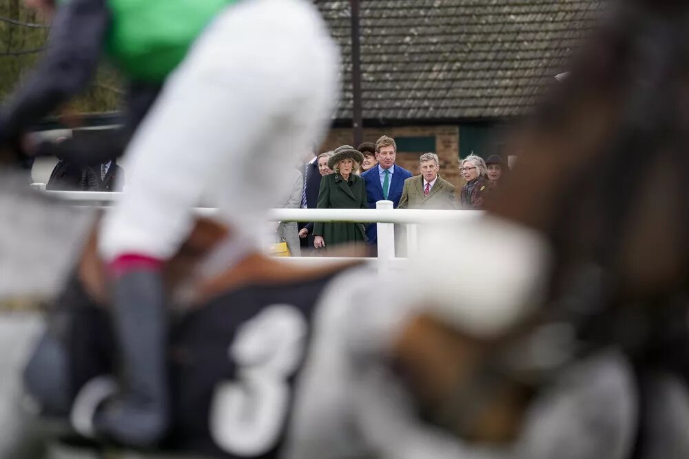 Камилла на скачках📷
