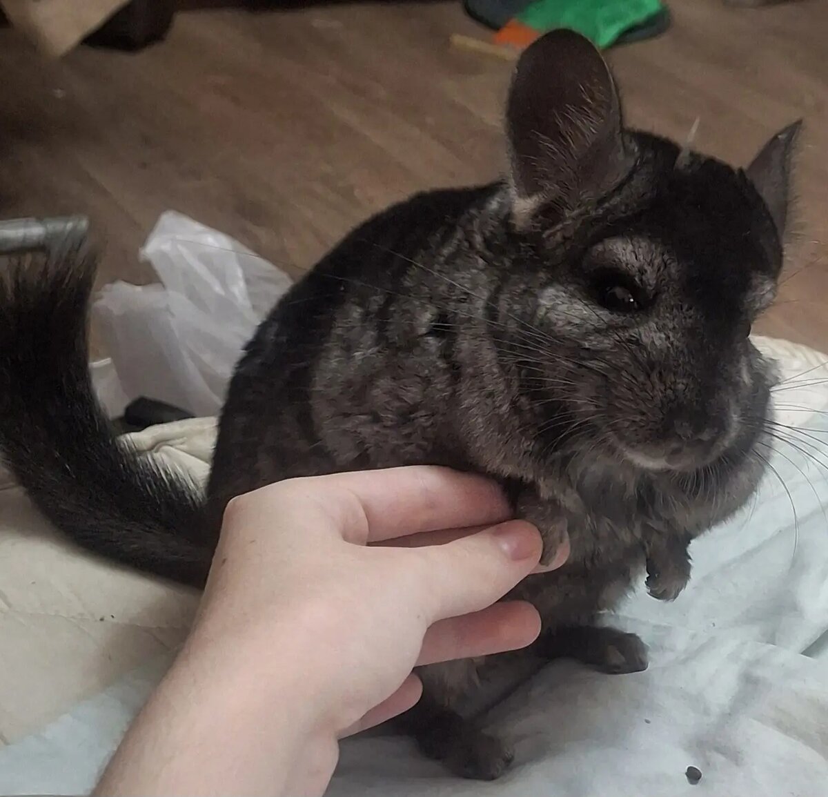 На этой фотографии, Майк выглядит, как супермодель!