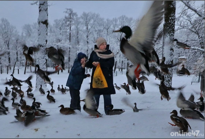 фото: Валентин Илюшин/ Online47