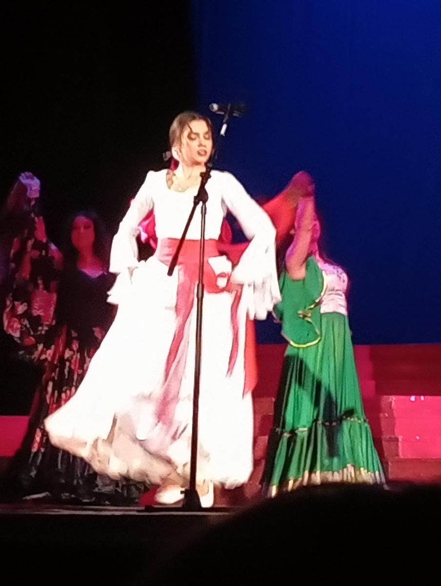 Спектакль в цыганском театре "Ромэн" (все фото автора от 23 февраля)